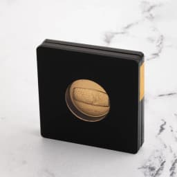 شمش 24 عیار 500 سوت منشور حقوق بشر G042