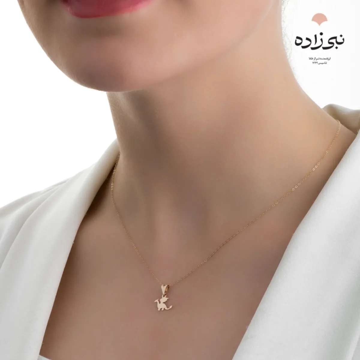 پلاک لیزری اژدها C118