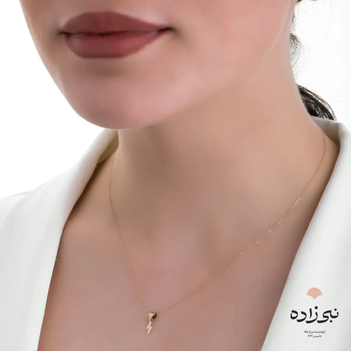 پلاک لیزری رعد C131