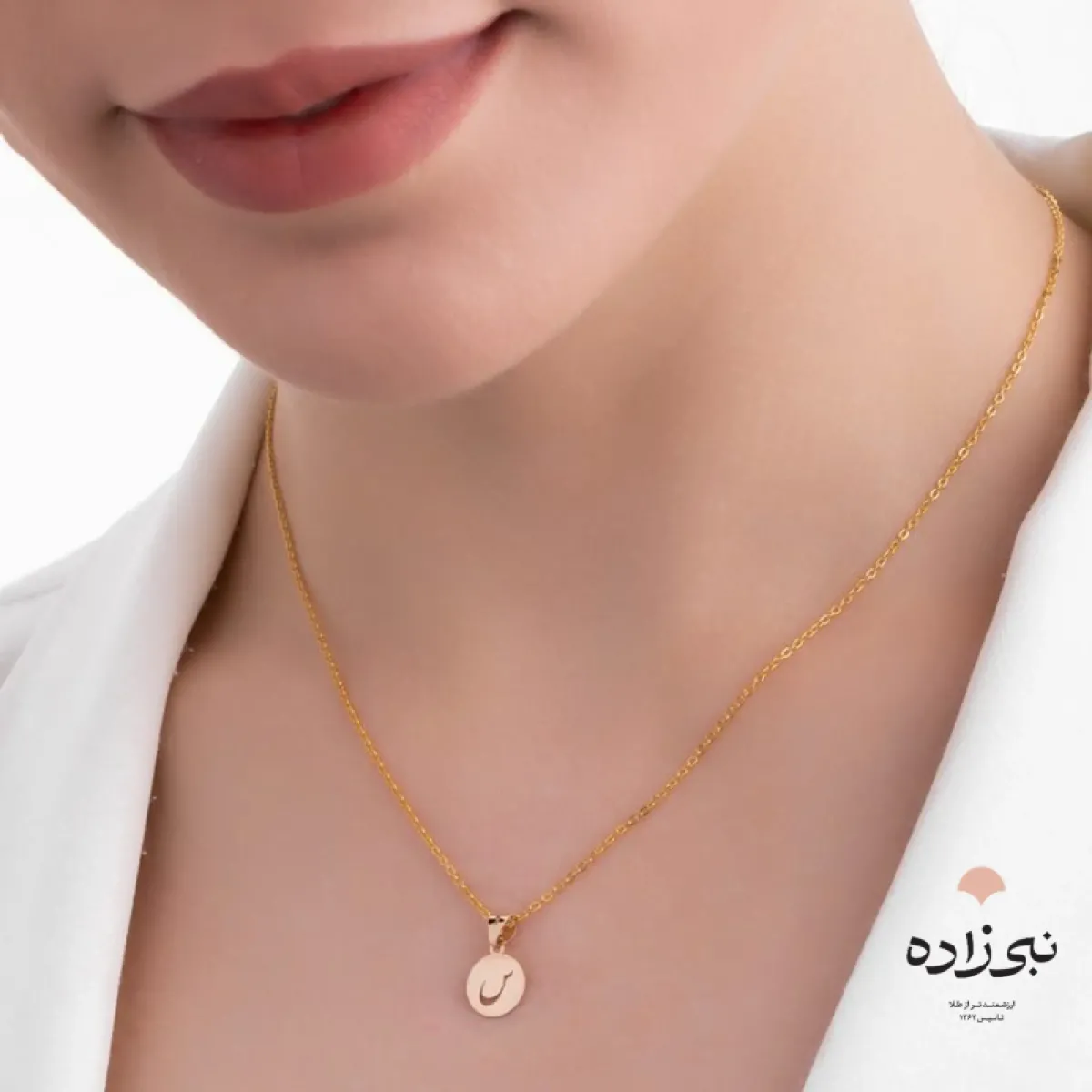 پلاک لیزری حرف س C093