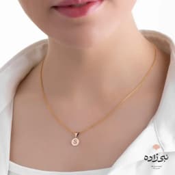 پلاک لیزری حرف S کد C070