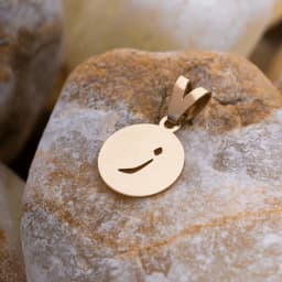 پلاک لیزری حرف ز C091
