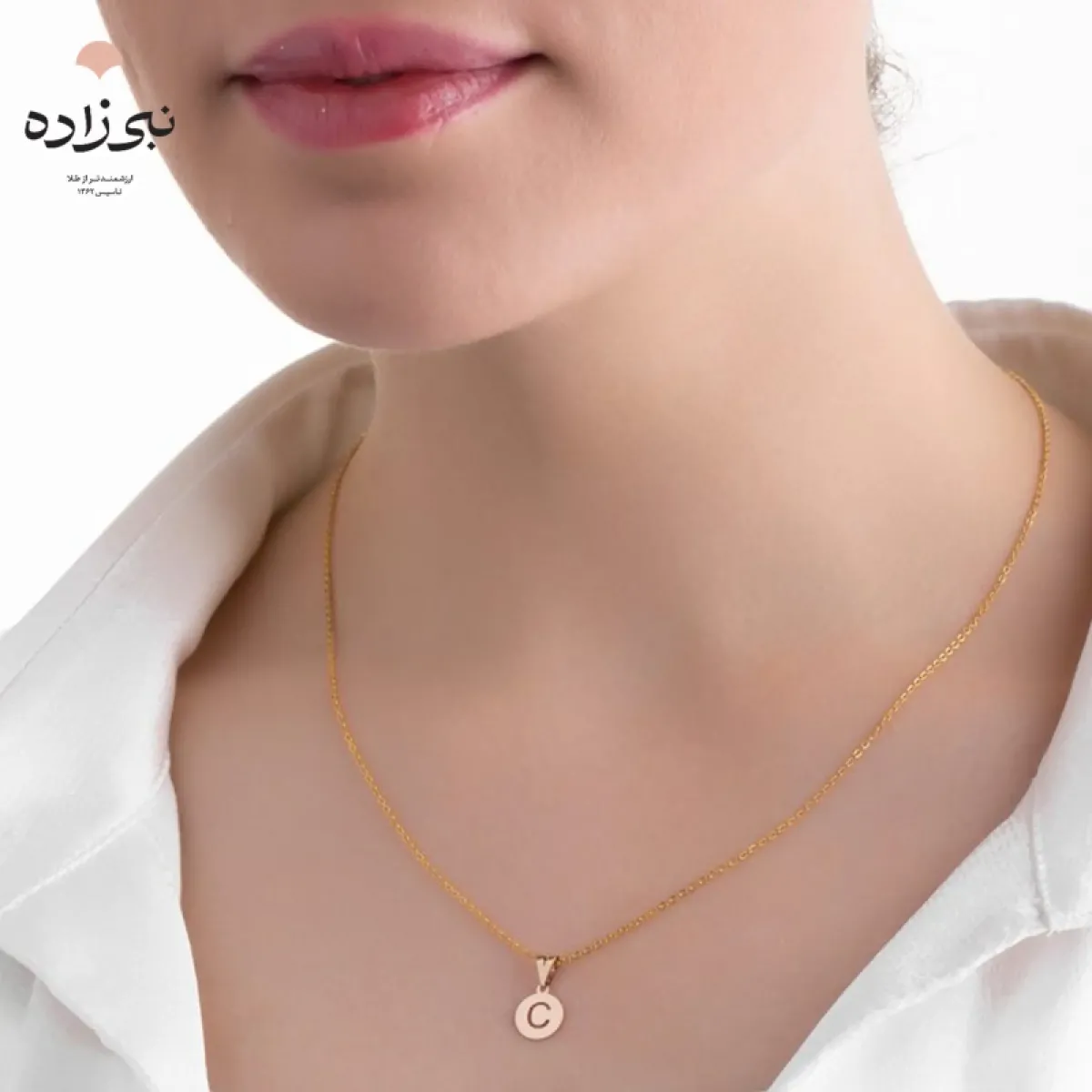 پلاک لیزری حرف C کد C054